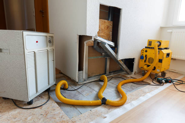 Best Environmental Consulting for Mold Prevention  in Chlicothe, IL